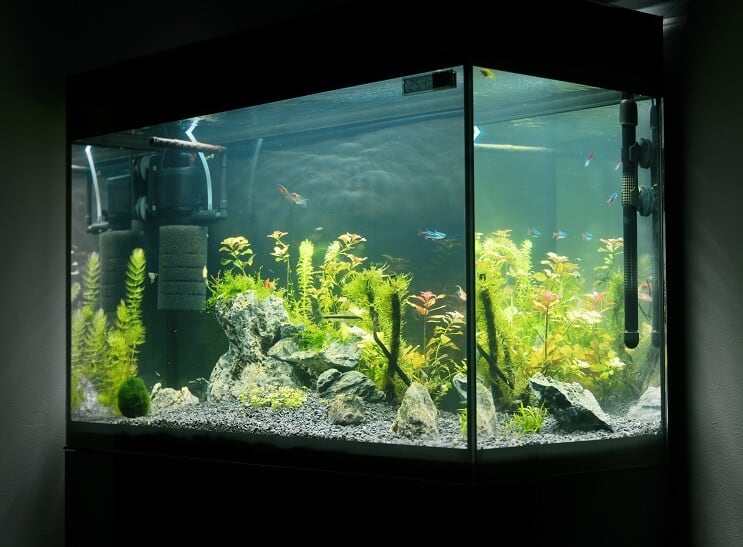 Akvarij