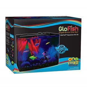 GloFish Akvarij