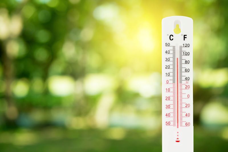 Najbolji termometar za akvarij