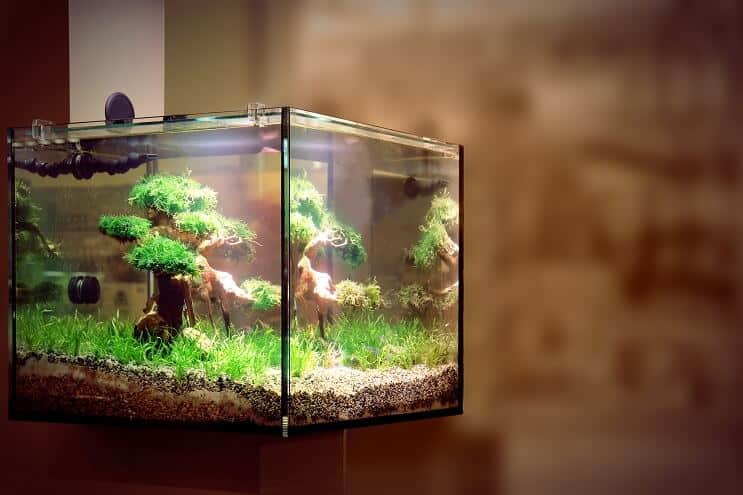 LED rasvjeta za akvarij