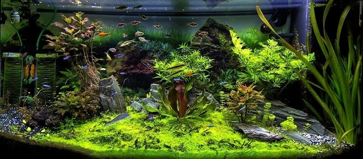Akvarij