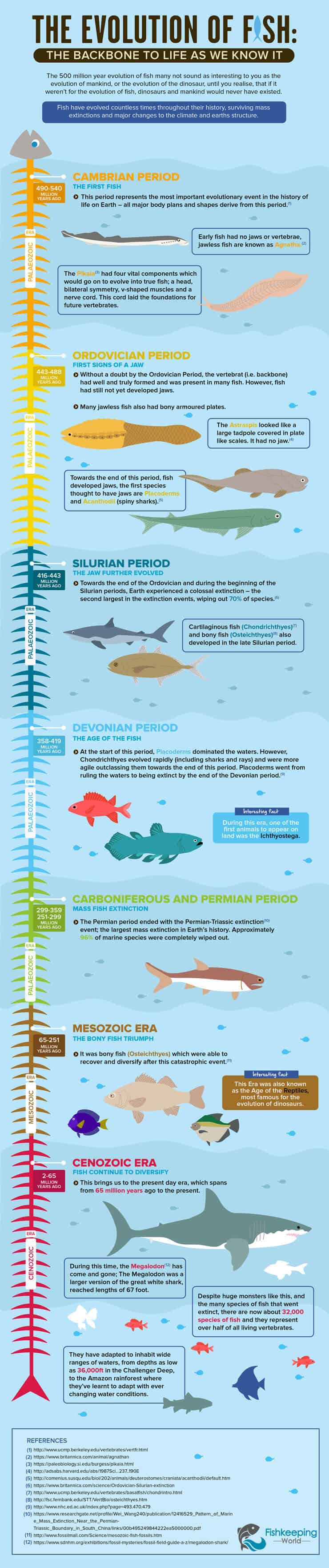 Evolucija riblje infografije