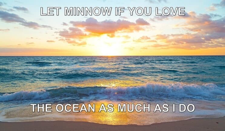 Neka Minnow