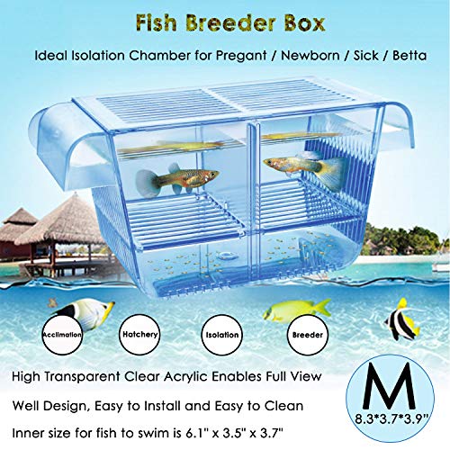 Capetsma Fish Breeder Box, Privjesna rasadnik za ribu s akademskom kutijom za uzgoj inkubatora, Savršen razdjelnik spremnika za agresivne ozlijeđene trudne ribe, mala riba, salamura, kozice, klovn