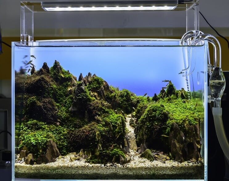 Akvastirani akvarij