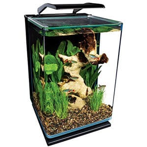 Mali akvarij Idealan za radni stol Paludarium